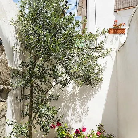Apartment Casa Colette *